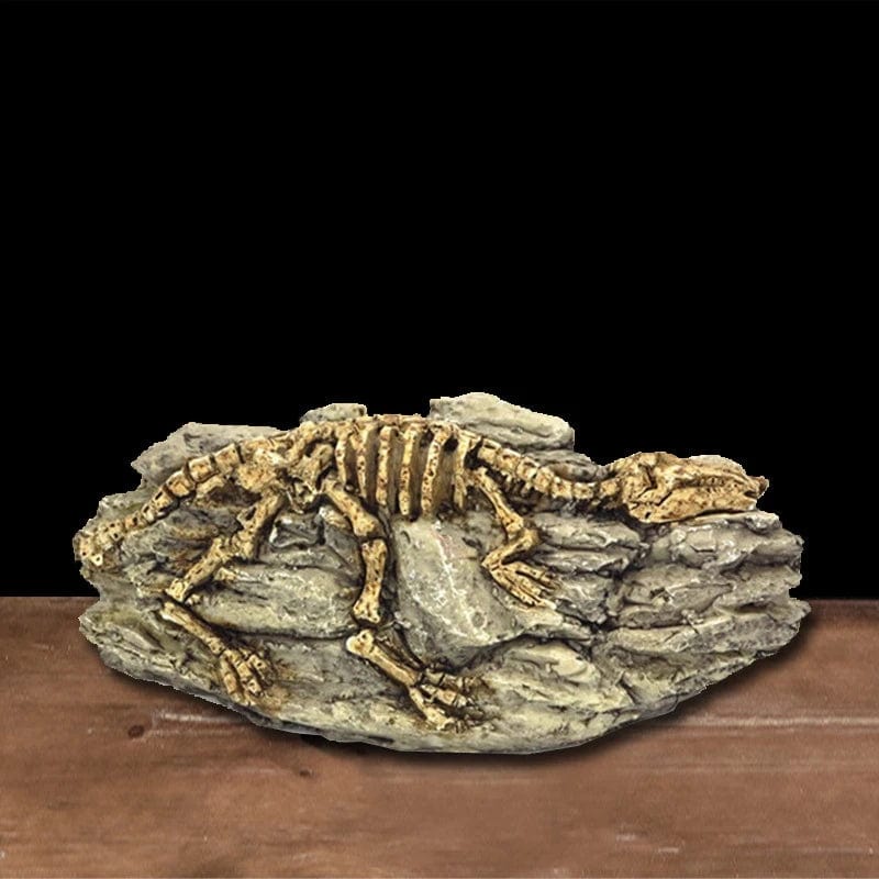 Dyr Hodeskalle Fiskebowle Fossil Dinosaur Smykker Akvarium Neshorn Bein Dekorasjon Fiskeskål Krokodille Manet Karpe Skilpadde | Skanto
