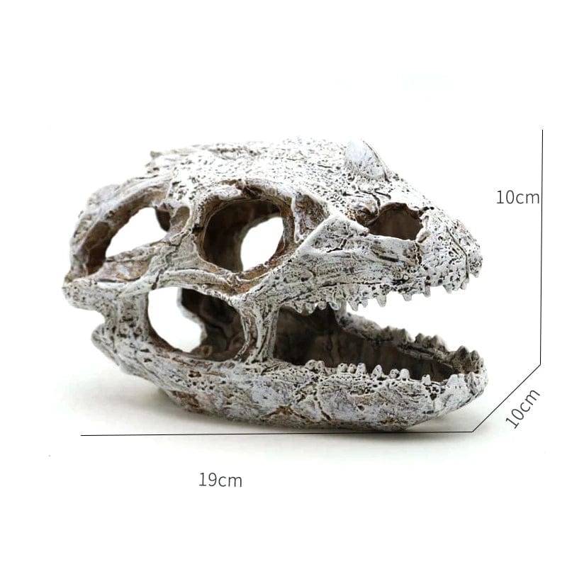 Dyr Hodeskalle Fiskebowle Fossil Dinosaur Smykker Akvarium Neshorn Bein Dekorasjon Fiskeskål Krokodille Manet Karpe Skilpadde | Skanto