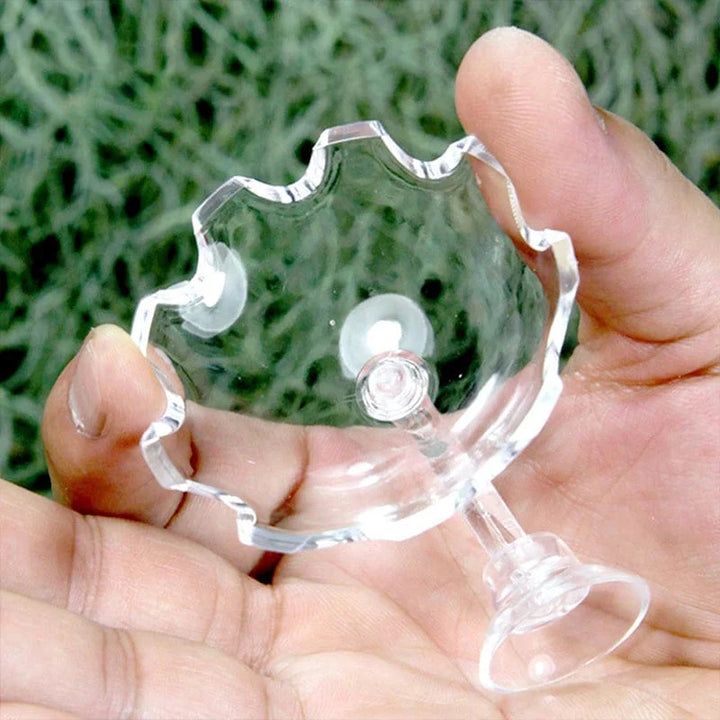Reke Fôring Skål Reke Fôr Skål Akvarium Fiskeballon Reke Mat Skål Fôring Klar Glass Fôring Tube Skål Suge Tilbehør | Skanto