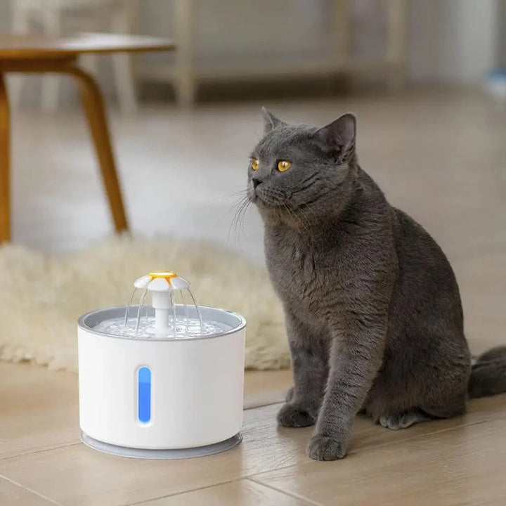 Automatisk Kattvannfontene med LED-belysning 5 Pakke Filter 2.4L USB Hunder Katter Stille Drikker Fôrskål Drikkedispenser | Skanto
