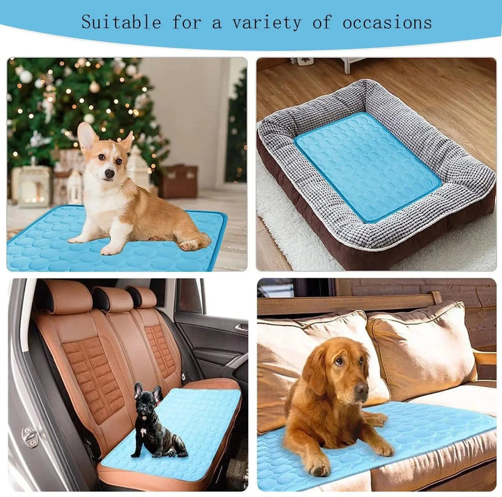 Hund Kjølematte Sommerpute for Hunder Kattteppe Pustende Hundefe Telt Valp Sove Sofa Pute Hunde Tilbehør | Skanto