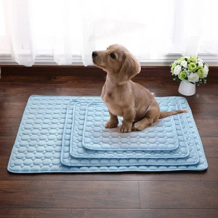 Hund Kjølematte Sommerpute for Hunder Kattteppe Pustende Hundefe Telt Valp Sove Sofa Pute Hunde Tilbehør | Skanto