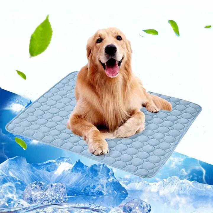 Hund Kjølematte Sommerpute for Hunder Kattteppe Pustende Hundefe Telt Valp Sove Sofa Pute Hunde Tilbehør | Skanto