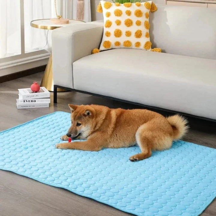 Hund Kjølepute Is Silke Stof Selv Kjølende Gel Pustende Vaskbar Sommer Kjæledyrmatte for Hunder Katter Sofa Kennel Seng Komfortabel La | Skanto
