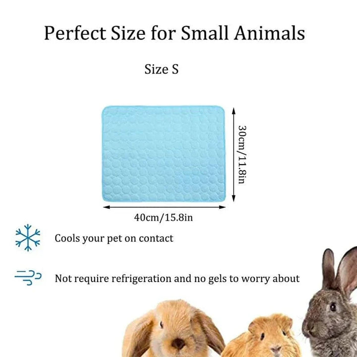 Guinea Pig Bur Mats Sommer Liten Dyr Kjølematte Pustende Hamster Tiss Pad for Kaninbur Chinchilla Pigger Kæledyr Artikel | Skanto