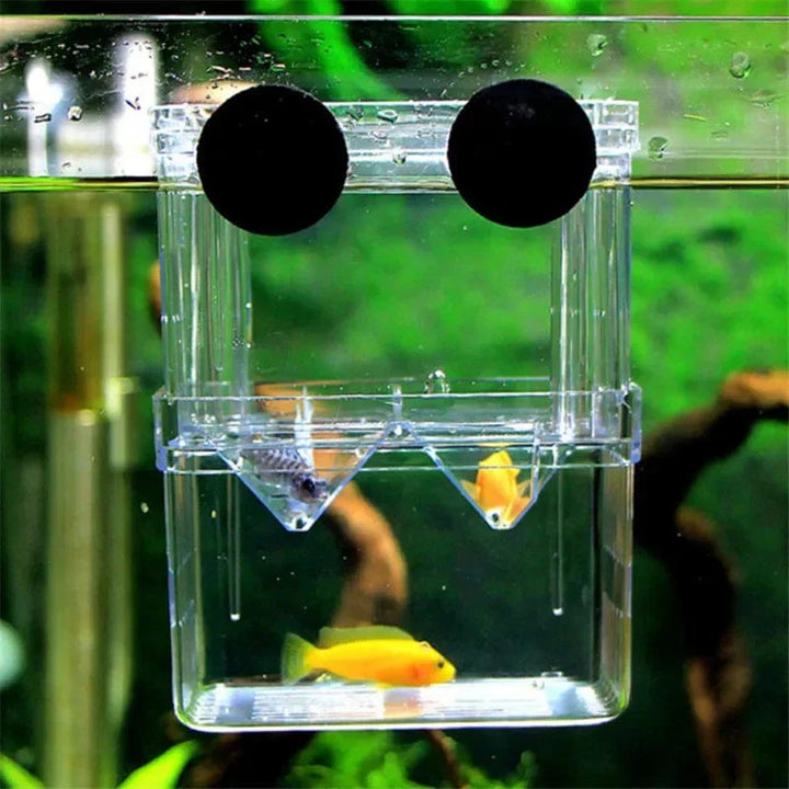 S/L/XL Akvarium Akryl Dobbel-Dekk Klart Fisk Avl Isolasjon Boks Akvarium Oppdretter Fisk Klækkevegg Deler Reker Fisk Skadet | Skanto