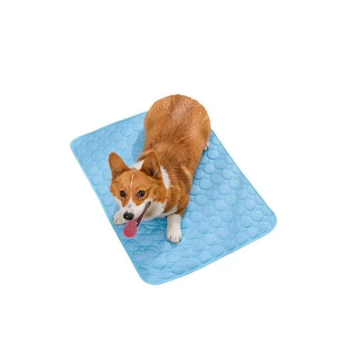 Sommerkjøling Pet Mat Gel Ice Pad for hunder katter Pustende myk kennel seng Antiskli varmt vær kjølig padde dyreforsyninger | Skanto