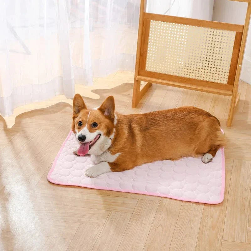 Sommerkjøling Pet Mat Gel Ice Pad for hunder katter Pustende myk kennel seng Antiskli varmt vær kjølig padde dyreforsyninger | Skanto