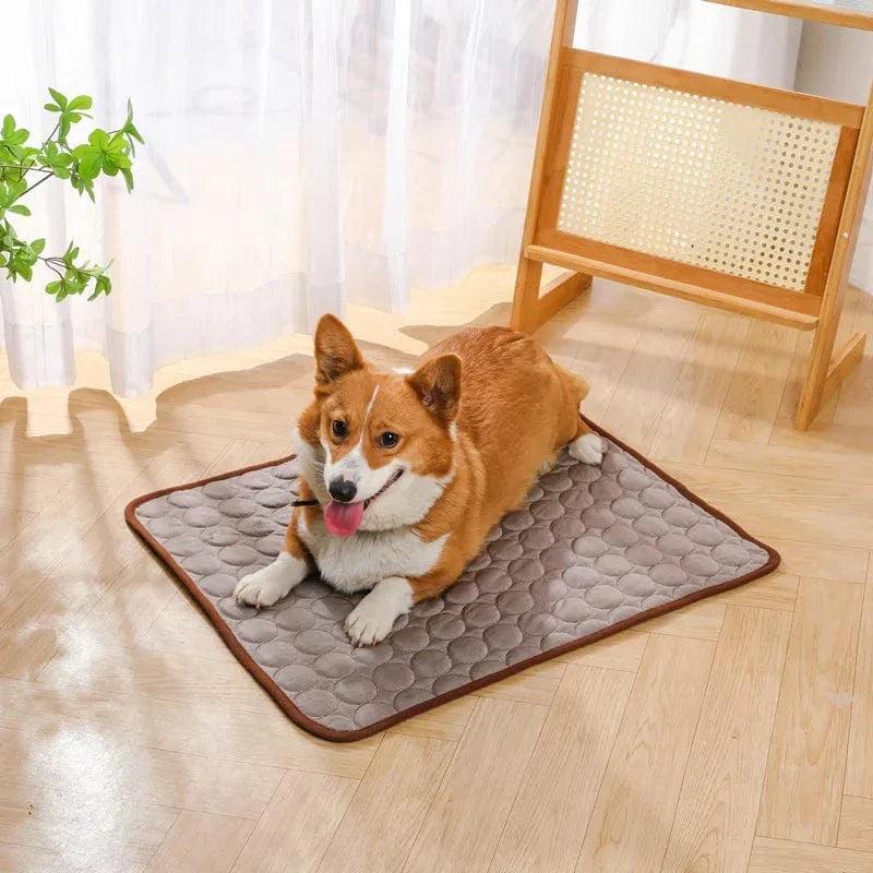 Sommerkjøling Pet Mat Gel Ice Pad for hunder katter Pustende myk kennel seng Antiskli varmt vær kjølig padde dyreforsyninger | Skanto