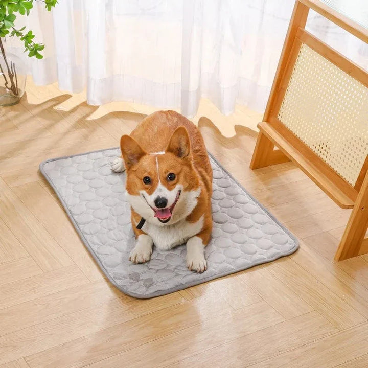 Sommerkjøling Pet Mat Gel Ice Pad for hunder katter Pustende myk kennel seng Antiskli varmt vær kjølig padde dyreforsyninger | Skanto