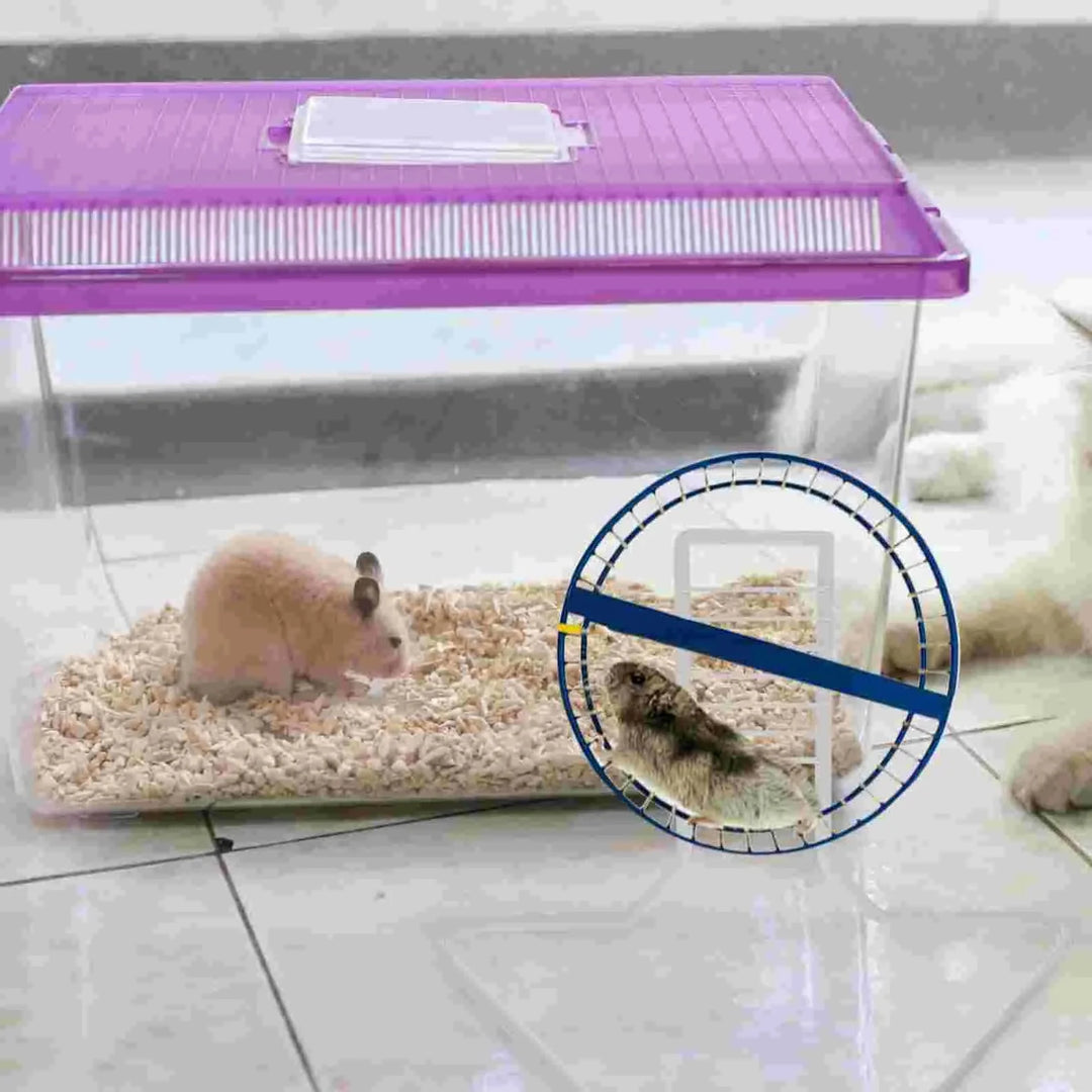 Metallbraketter Løpehjul Støtte Hamster Syrisk Trening Hvit Jern Liten Kjæledyr Stativ | Skanto