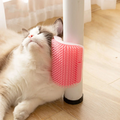 Katt Veggbørste med Kattemynte Skålift