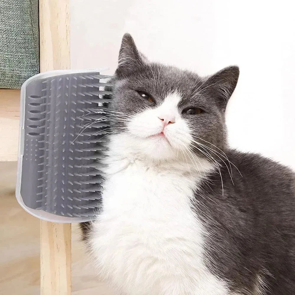 Katt Veggbørste med Kattemynte Skålift