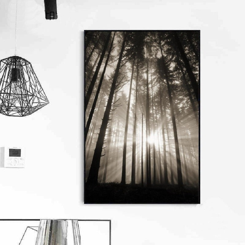 Wald Solstråler Scene - Lærred Veggkunst Maleri