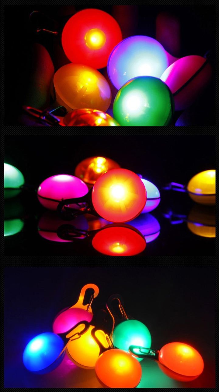 LED Flash Hundehalsbånd Pendant | Skanto
