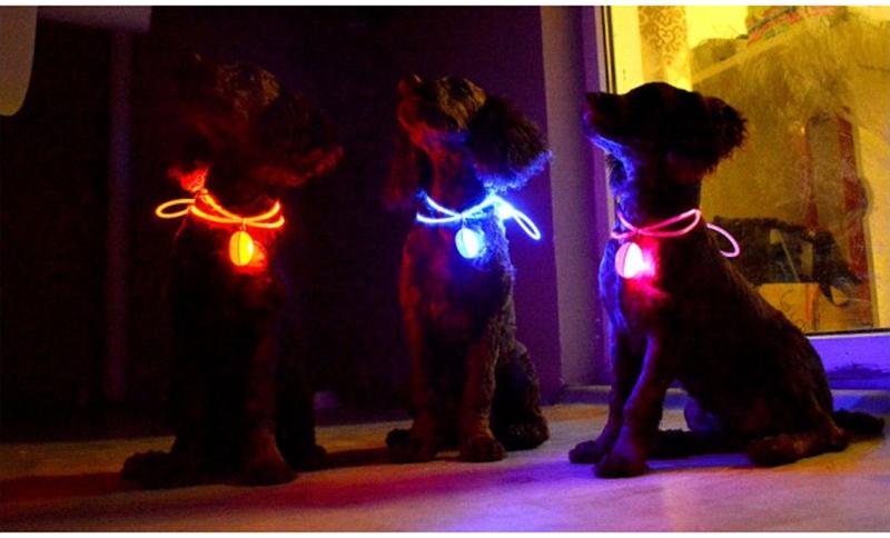 LED Flash Hundehalsbånd Pendant | Skanto