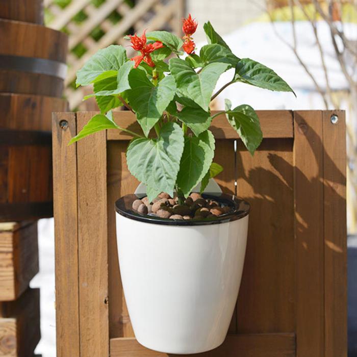 InstanWater - Selvvannende hengende planter | Skanto