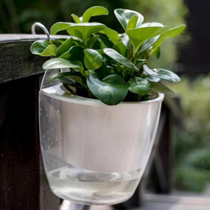 InstanWater - Selvvannende hengende planter | Skanto