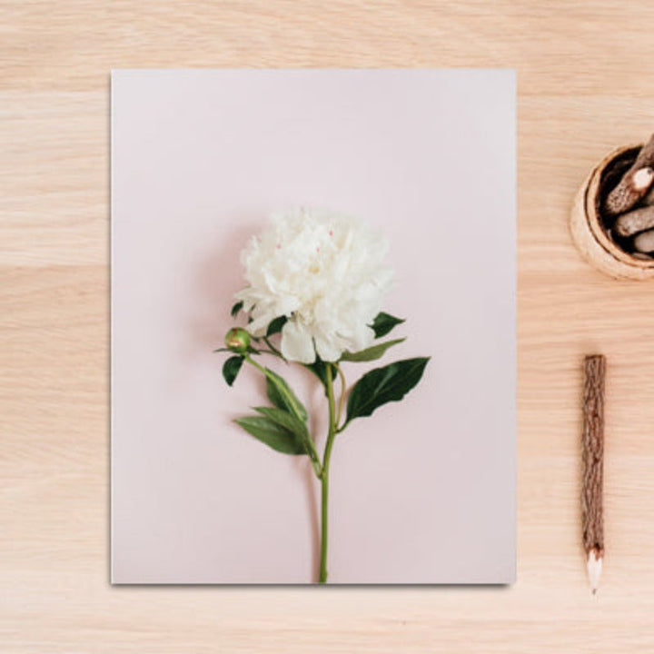 Moderne veggkunst med rosa blomster, grønne blader og bokstaver - lerretsbilde