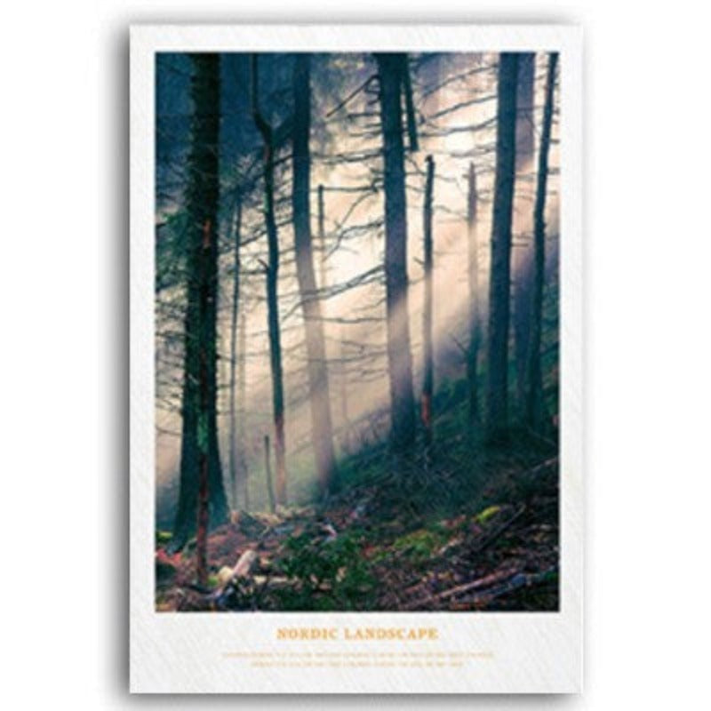 Nordic Skandinavia Natur Skog Solskinn Scene Trykk
