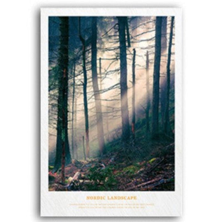 Nordic Skandinavia Natur Skog Solskinn Scene Trykk