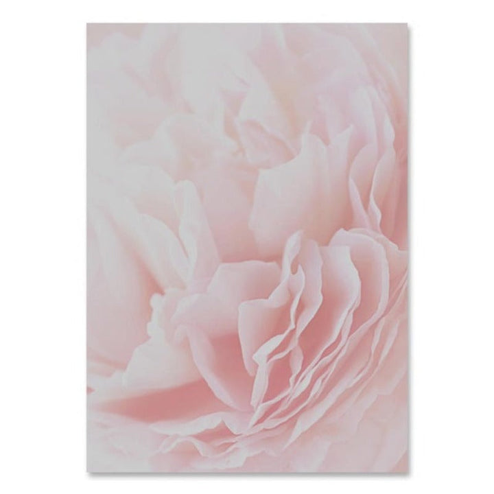 Moderne rosa blomstermaleri «Jomfruens fred» – lerretsbilde