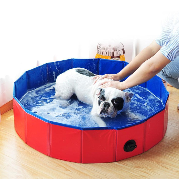 Bærbar Paw Pool | Skanto