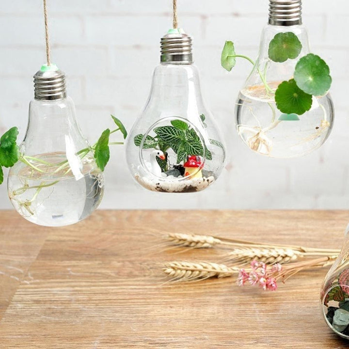 Skanto | Hengende Glass Lyspære Lampe Form Blomst Vannplante