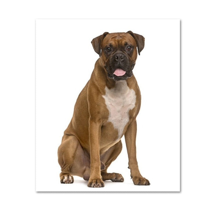 Moderne hundeposter og -trykk – lerretbilder