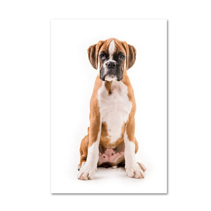 Moderne hundeposter og -trykk – lerretbilder