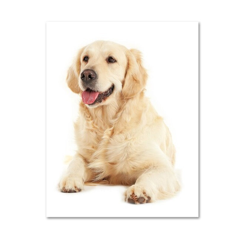 Moderne hundeposter og -trykk – lerretbilder