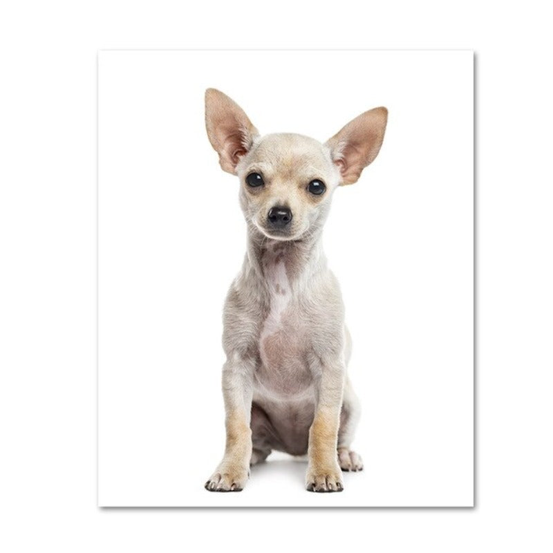 Moderne hundeposter og -trykk – lerretbilder