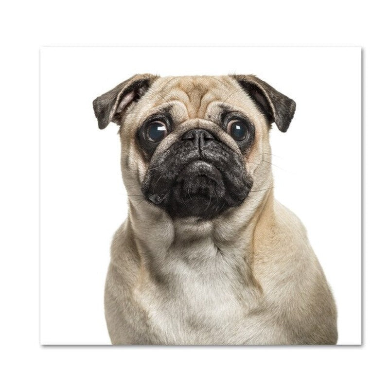 Moderne hundeposter og -trykk – lerretbilder
