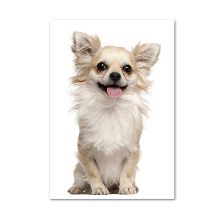 Moderne hundeposter og -trykk – lerretbilder