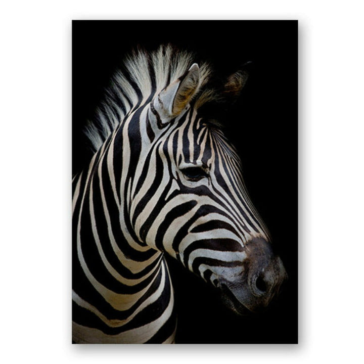 Natur, dyreliv i Afrika, villdyr, svart-hvitt - lerretbilde