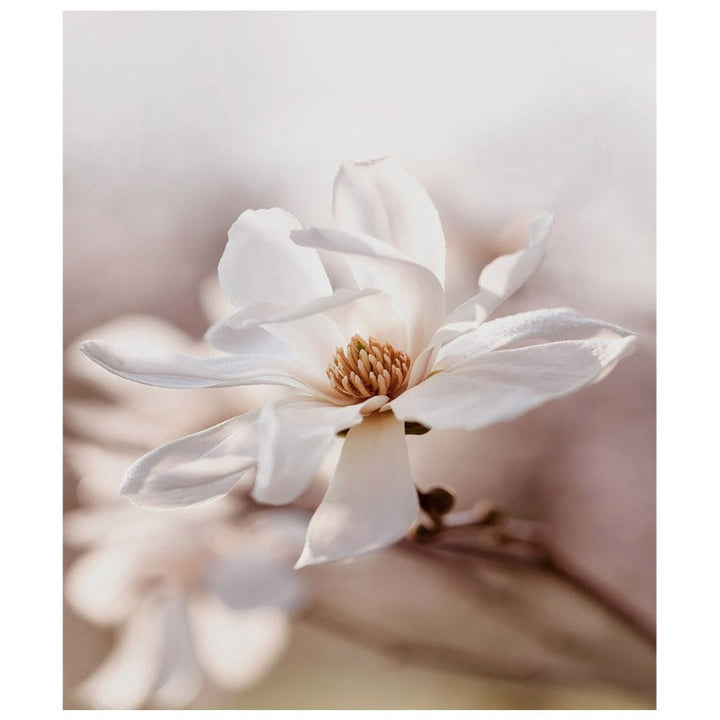 Moderne rosa blomsterskisse – lerretsbilde
