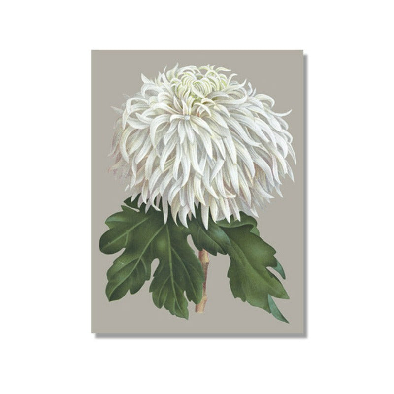 Vakkert chrysantemum blomsterbilde – lerretsbilde