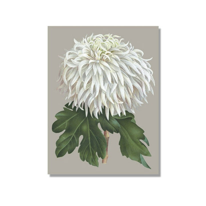 Vakkert chrysantemum blomsterbilde – lerretsbilde