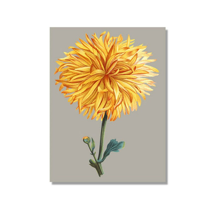 Vakkert chrysantemum blomsterbilde – lerretsbilde