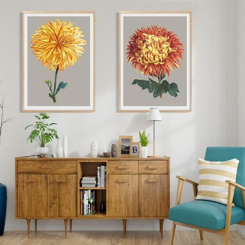 Vakkert chrysantemum blomsterbilde – lerretsbilde