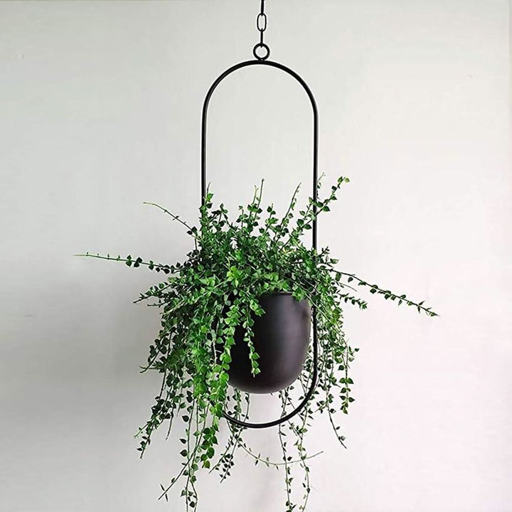 Wandhengender Pflanzenhalter aus Metall – FloraFrame