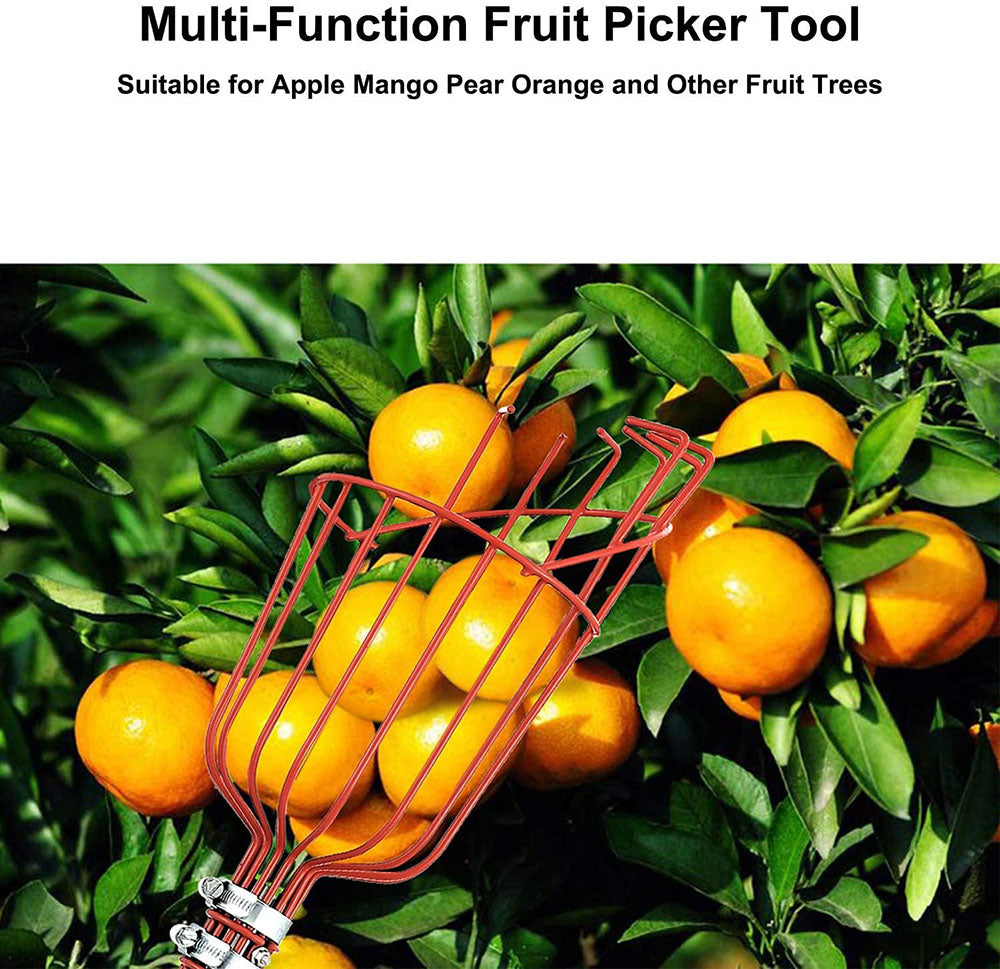 High Branch Fruit Picker | Skanto