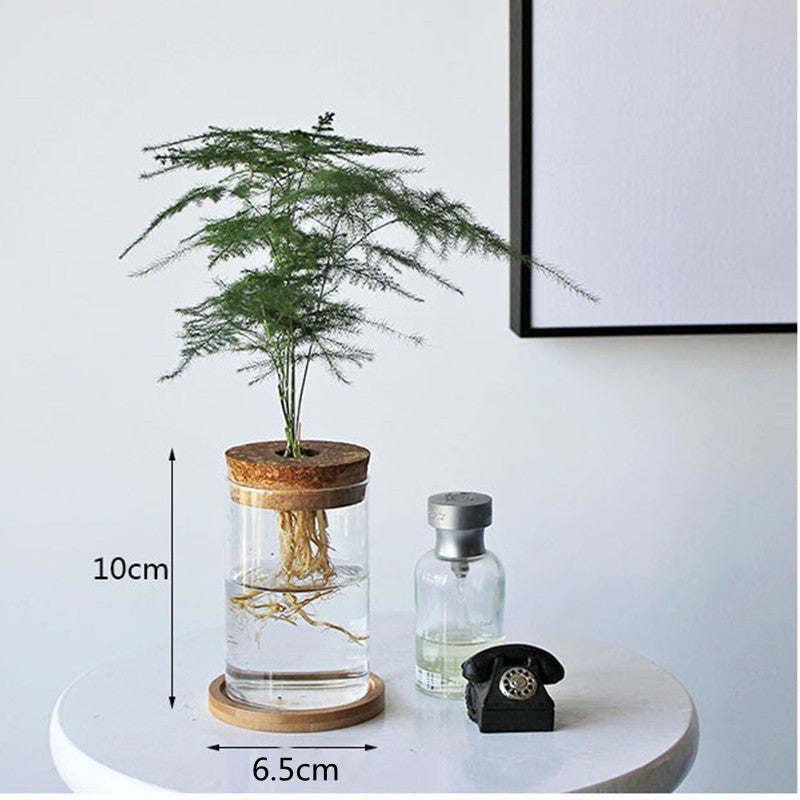 Skanto | Nordisk Gjennomsiktig Glass Trelignende Blomsterholder
