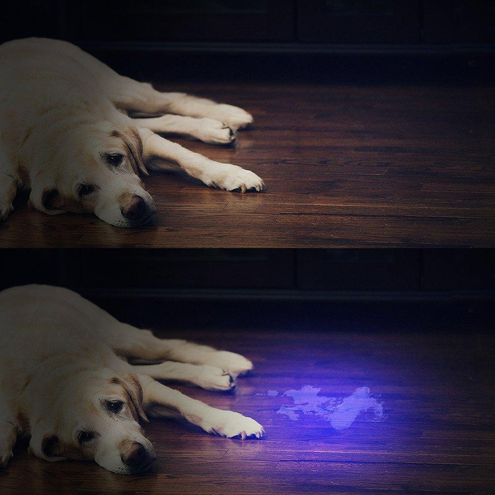 HiLight - LED UV Deteksjons Fakkel | Skanto