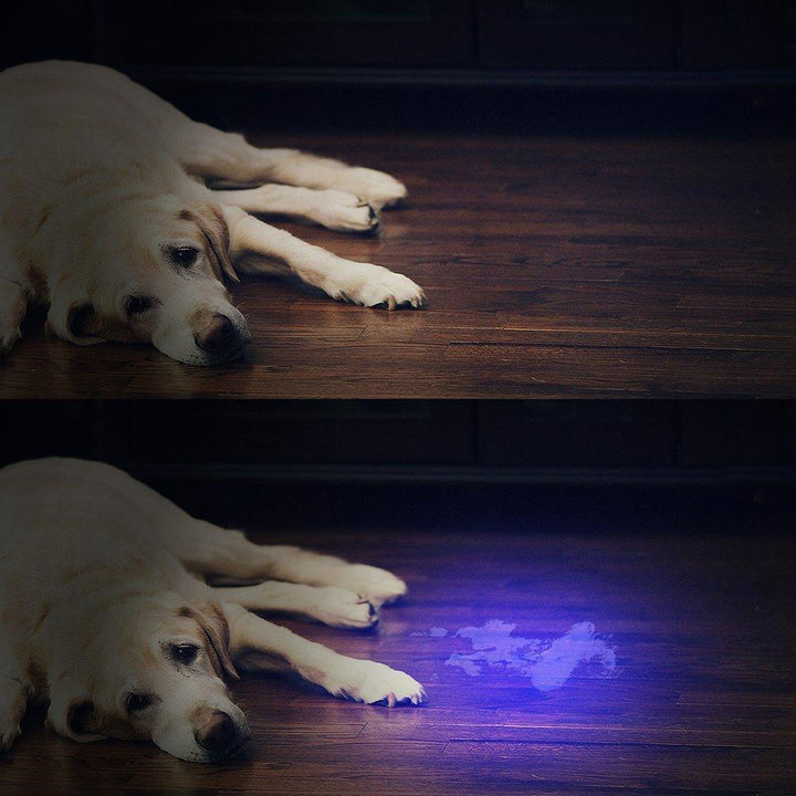 HiLight - LED UV Deteksjons Fakkel | Skanto