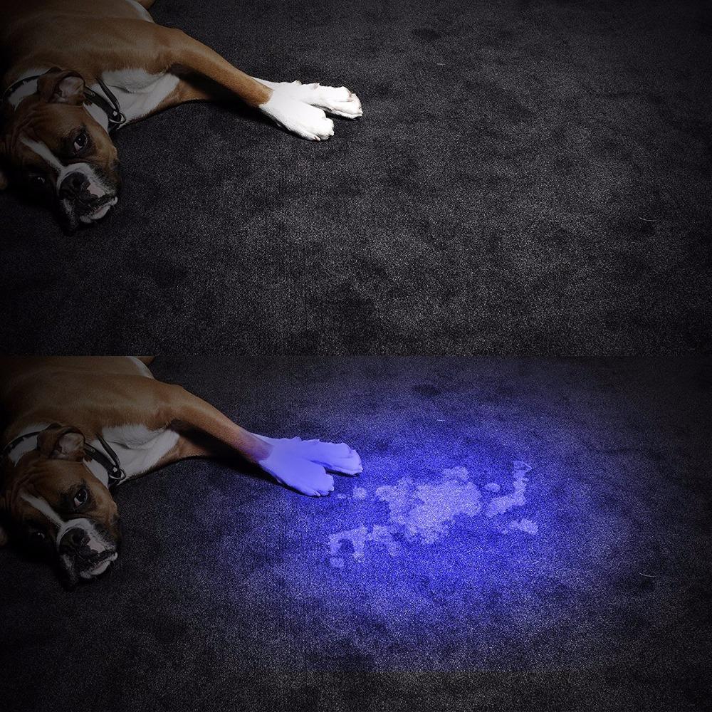 HiLight - LED UV Deteksjons Fakkel | Skanto