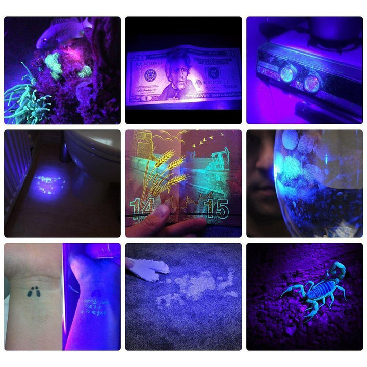 HiLight - LED UV Deteksjons Fakkel | Skanto