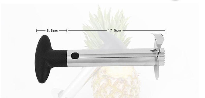 Rustfritt Stål Ananas Skjærer Kjerne | Skanto