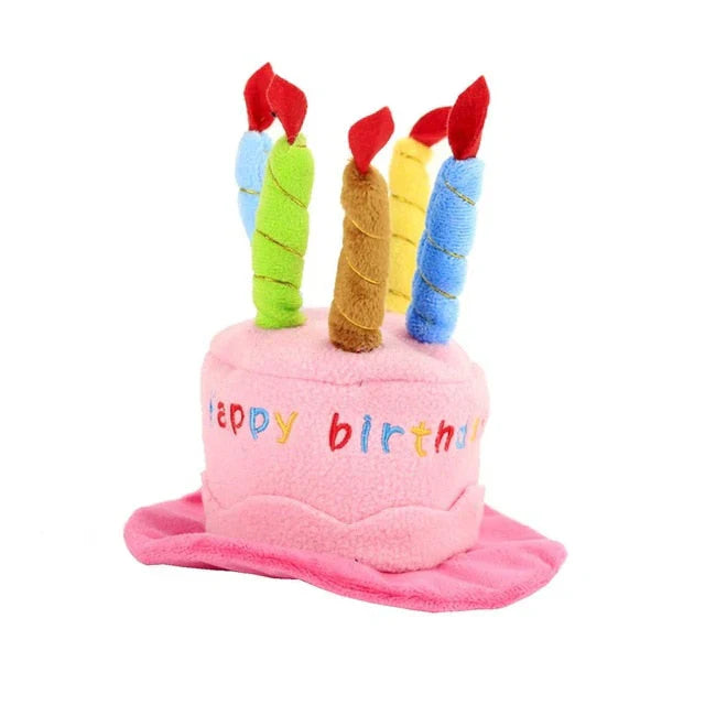 Pet Birthday Hat – PartyPaws Skanto