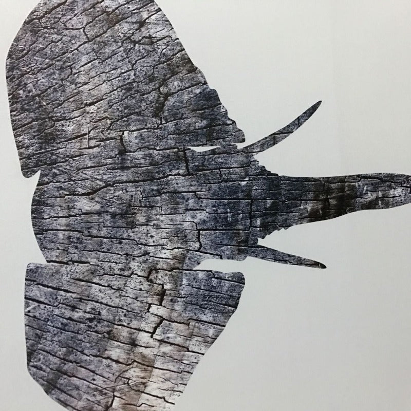 Moods Of Elephants - Lerret Veggkunst Maleri